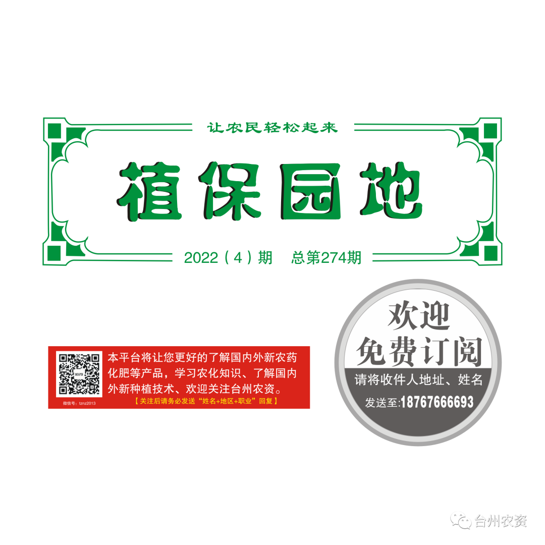 氣溫驟降，大棚西瓜做好以下幾點(diǎn)工作
