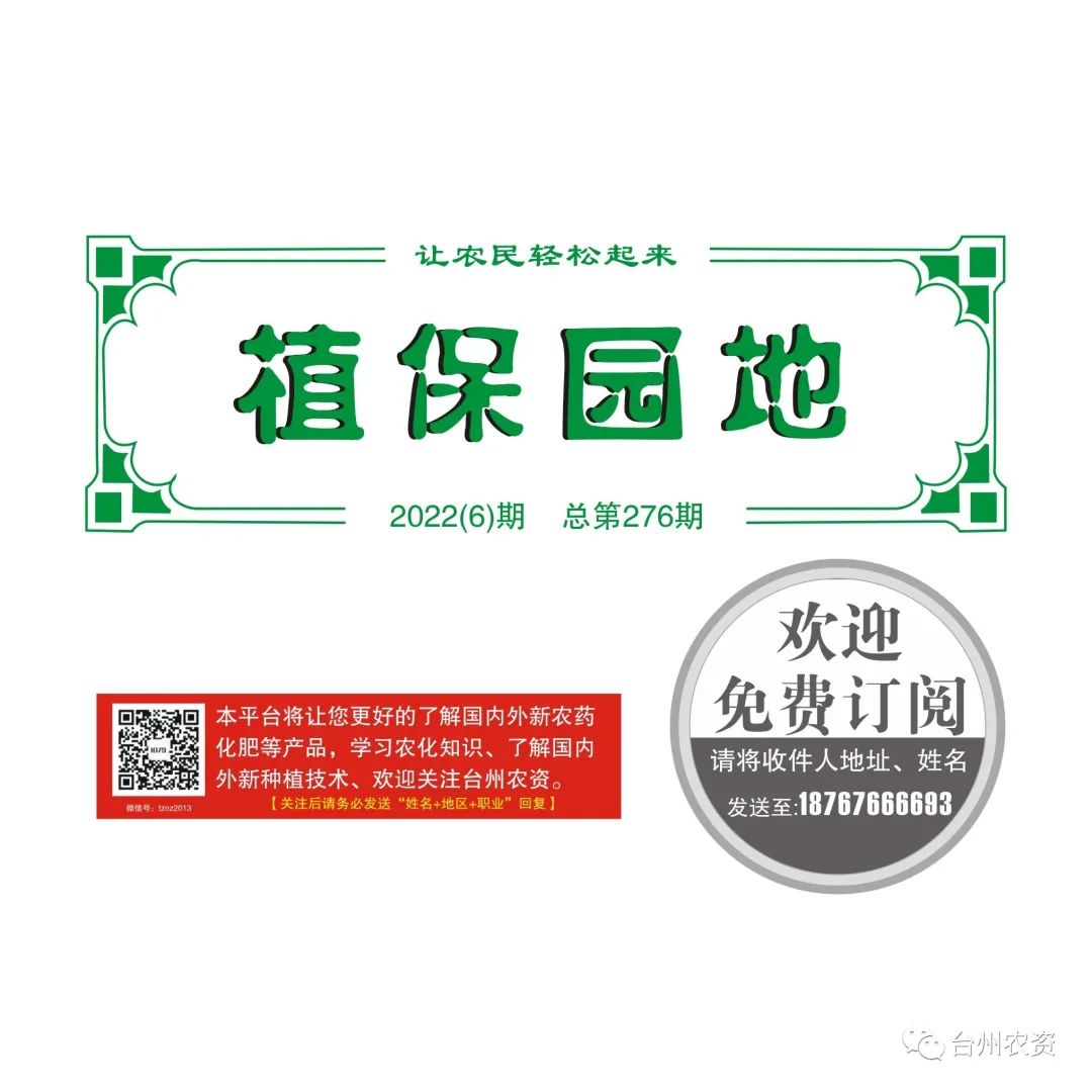 梅雨季節(jié)來臨，柑橘即將穩(wěn)果，注意管理好夏梢，合理施肥打藥