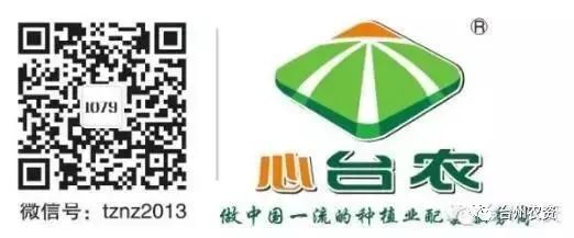 果實(shí)接近成熟，警惕柑橘表面各種油胞病